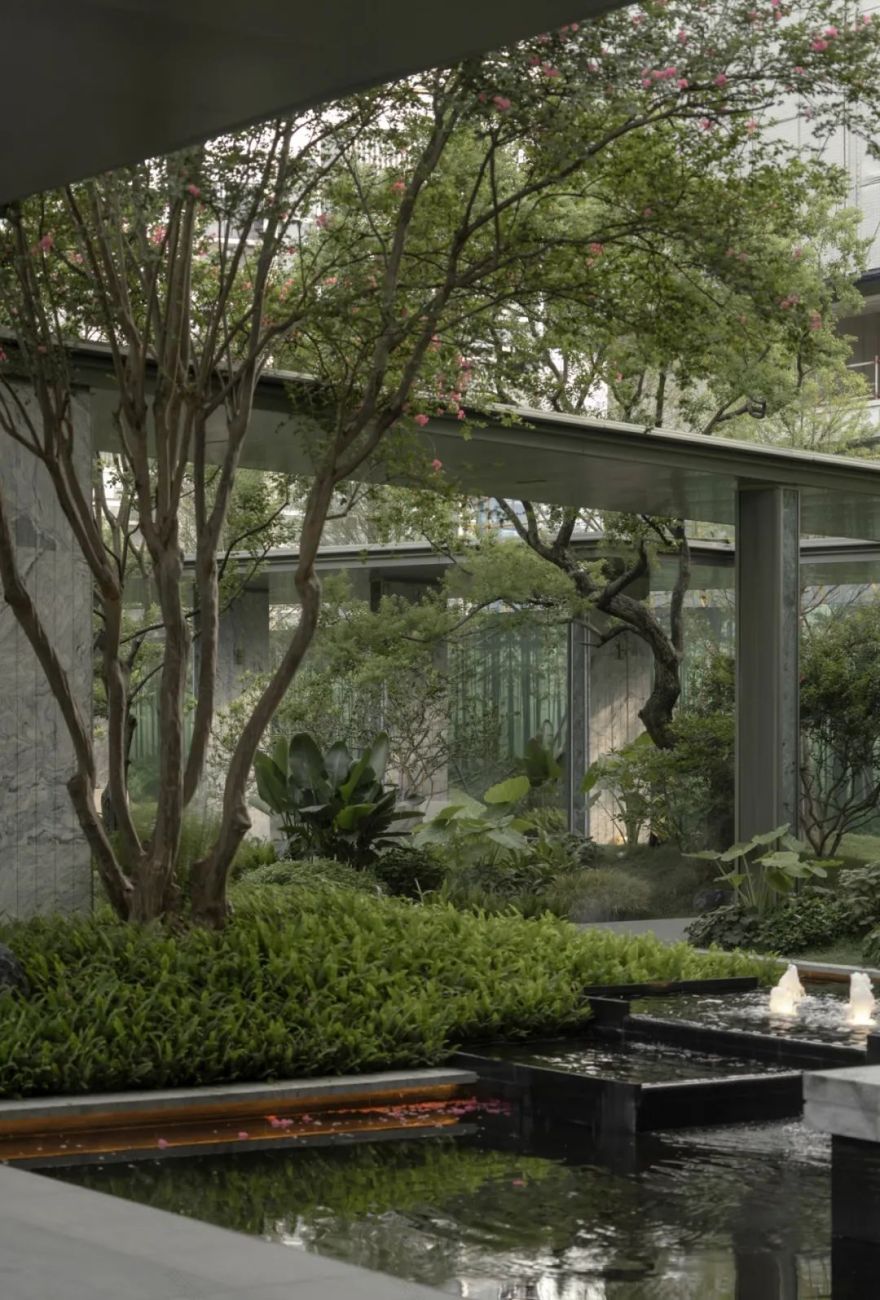 华润置地静兰湾·润玺|树冠私语雾涧浮光-62