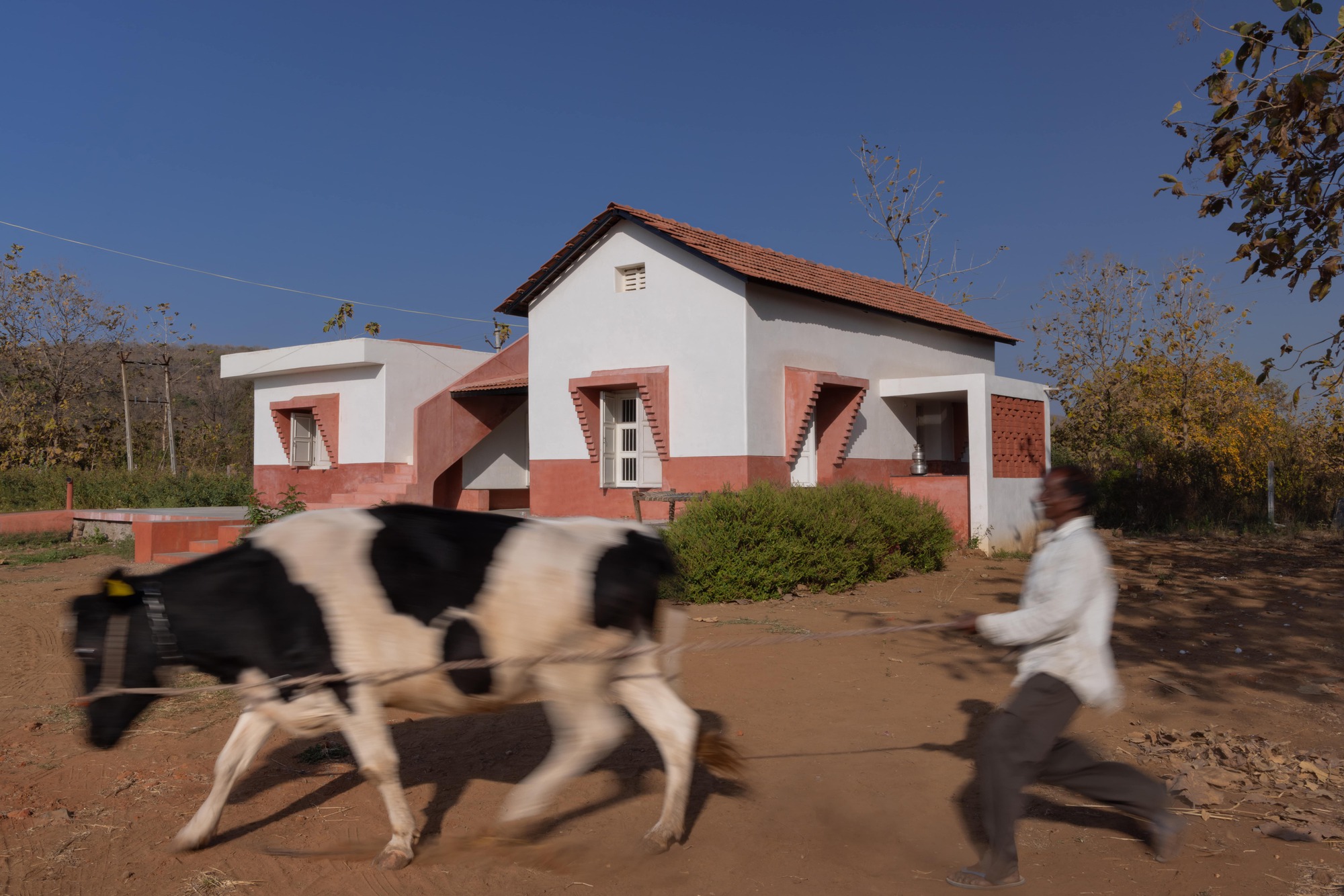 丨印度丨Project Terra-10