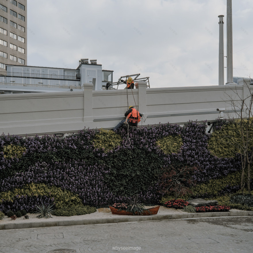 在被框选的画面之外 · 不如回到街头丨中国上海丨whyseeimage-15