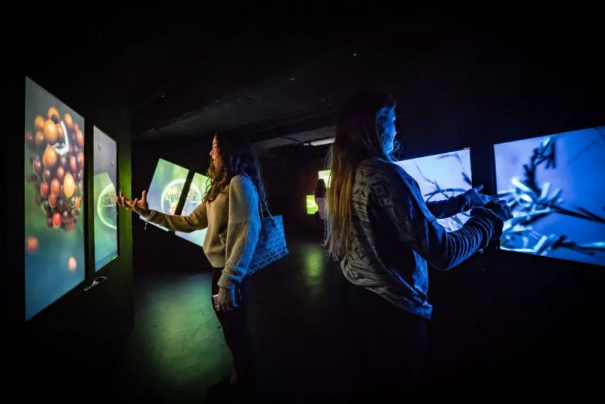 视界 | AI数字乐园,置身于外星生物组成的海底世界!-28