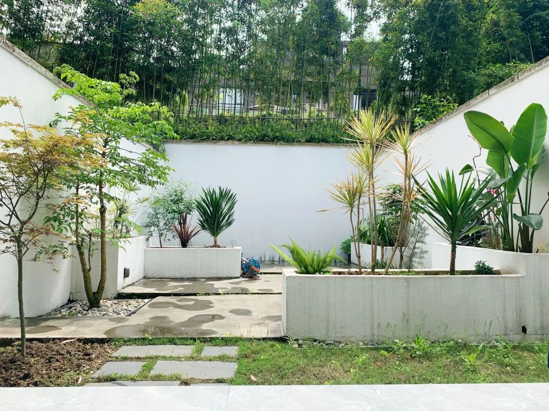 一个没有花的花园，全是绿植的高颜值花园改造，太美了-2