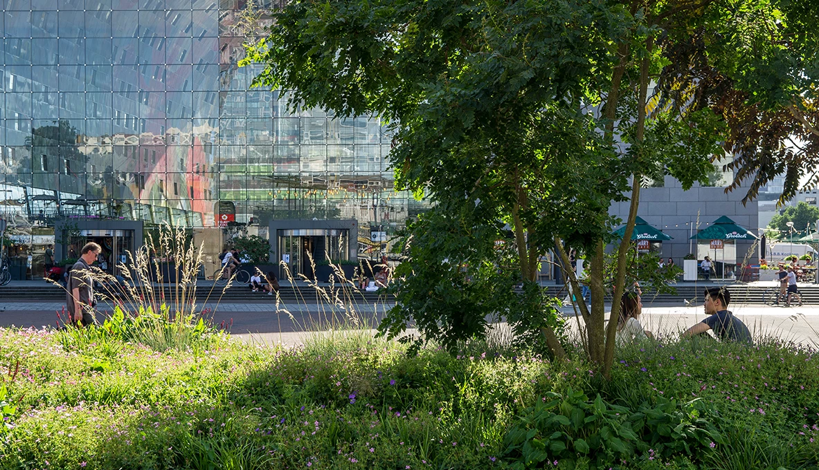 Binnenrotte Rotterdam-11