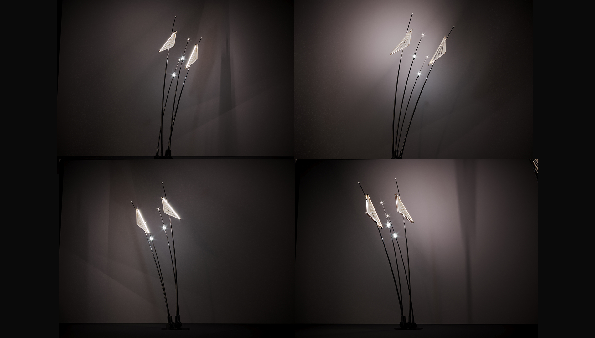 Mahally award Winner (BREEZE)-17