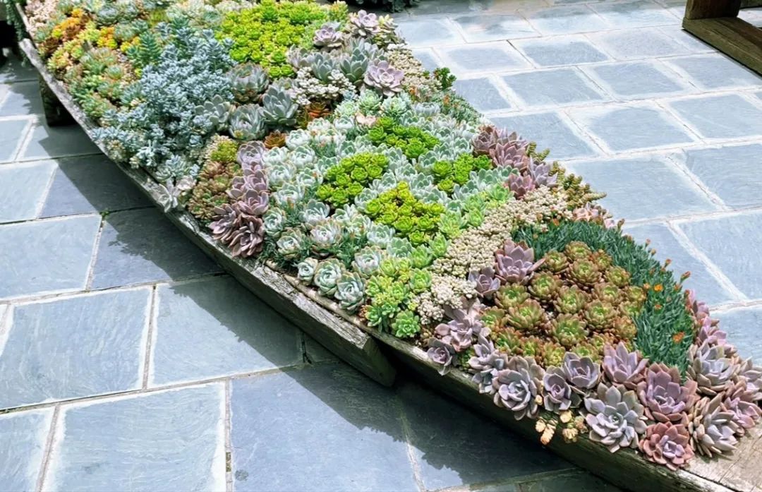 乘风破浪的种子|一个高中屋顶花园的Seeding邀约-39