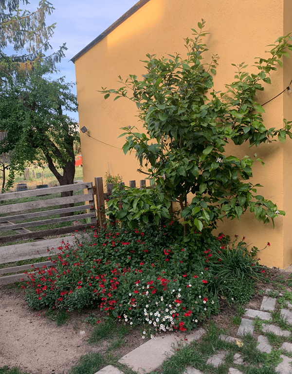 Cassà de la Selva室外空间改造与建设项目-12