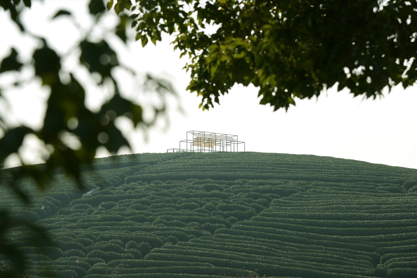 长埭村艺术乡建系列茶山浮亭丨中国杭州丨由牧建筑-18