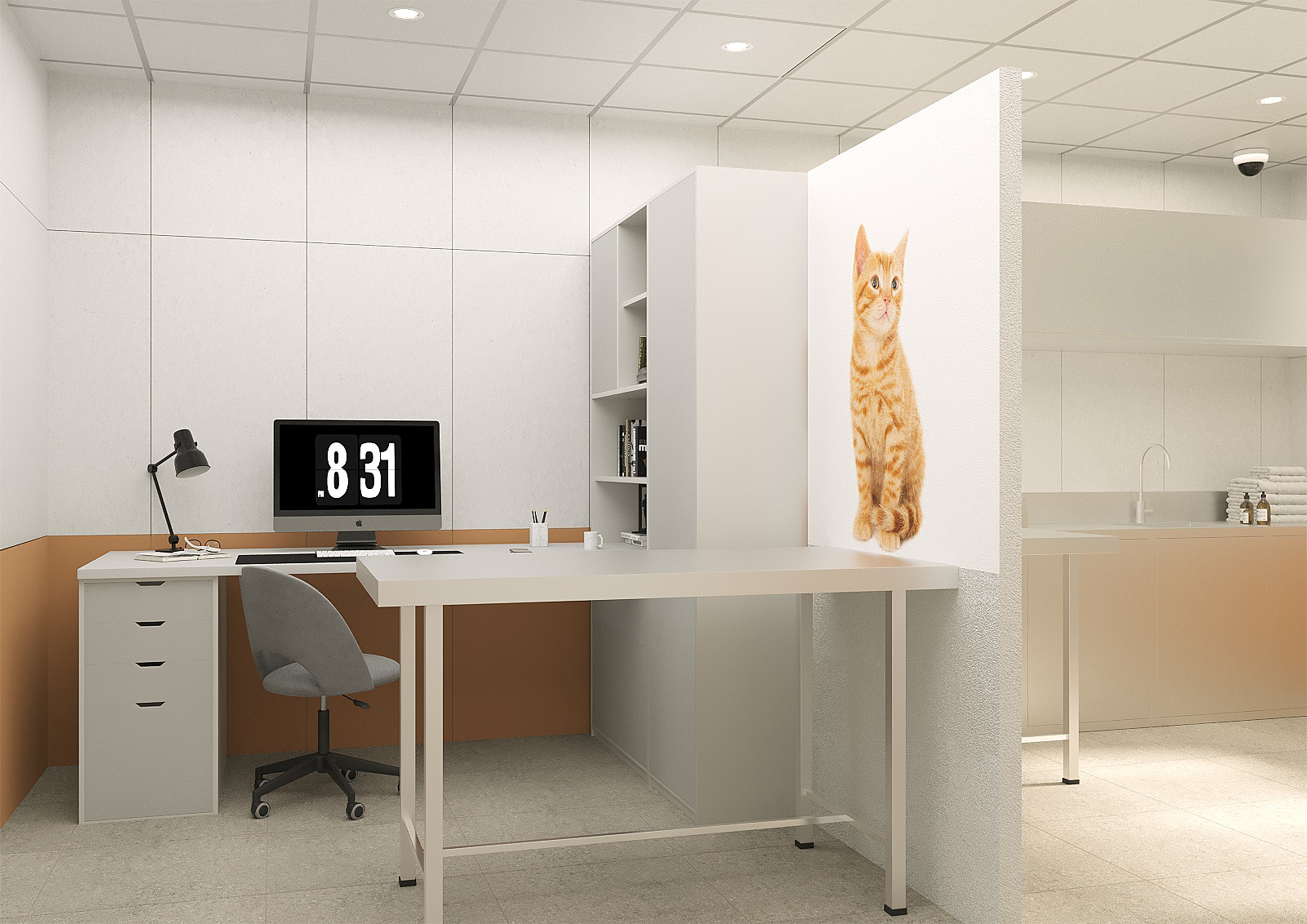 Разработка 3D визуализаций интерьера ветклиники-4