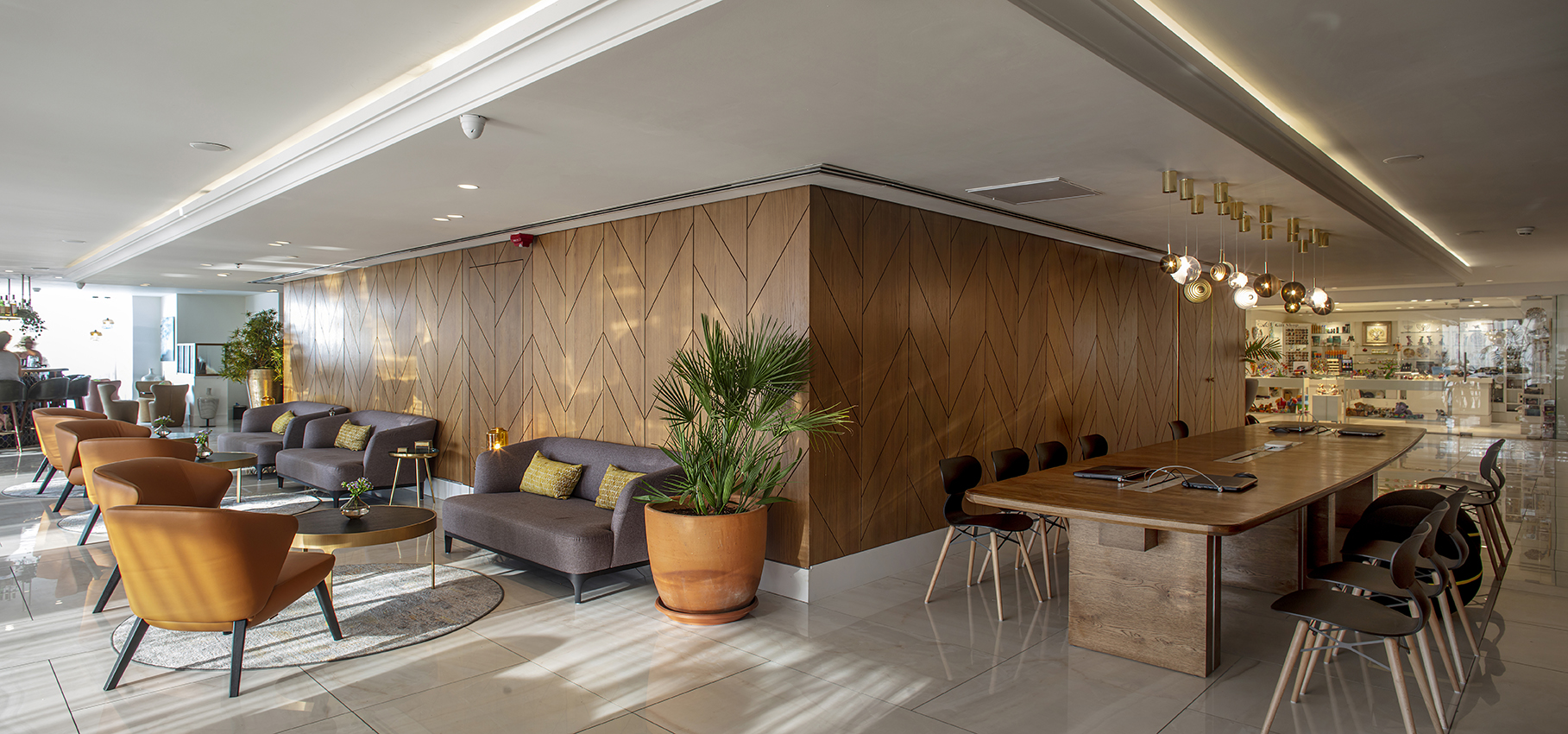 卡尔顿特拉维夫酒店大堂-8