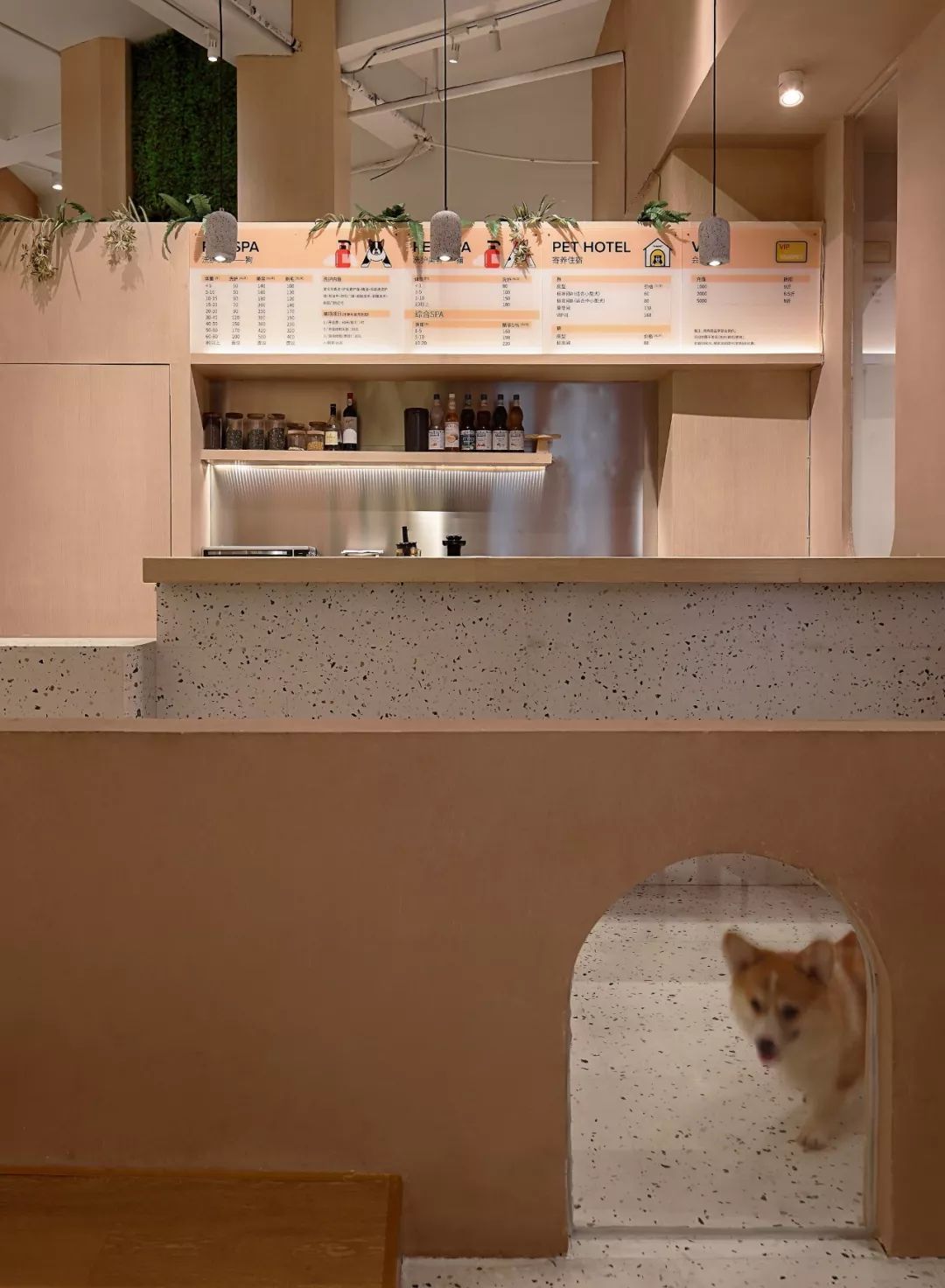 柯基互动体验馆,传递爱与关怀的小世界-16