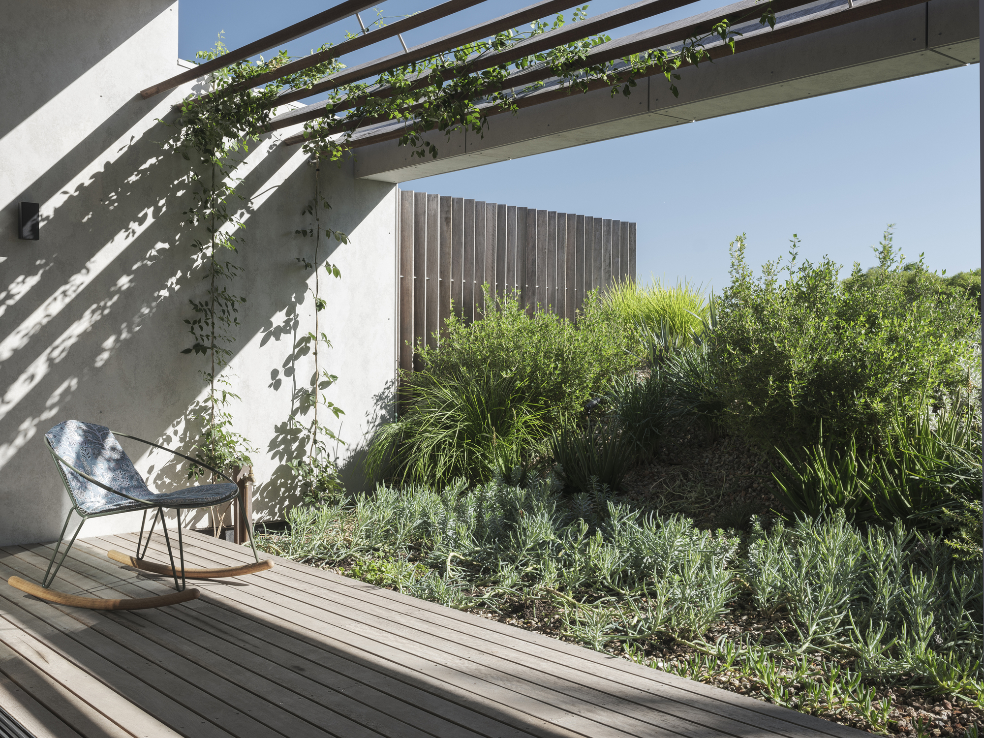 隐蔽花园住宅丨澳大利亚悉尼丨Sam Crawford Architects-36