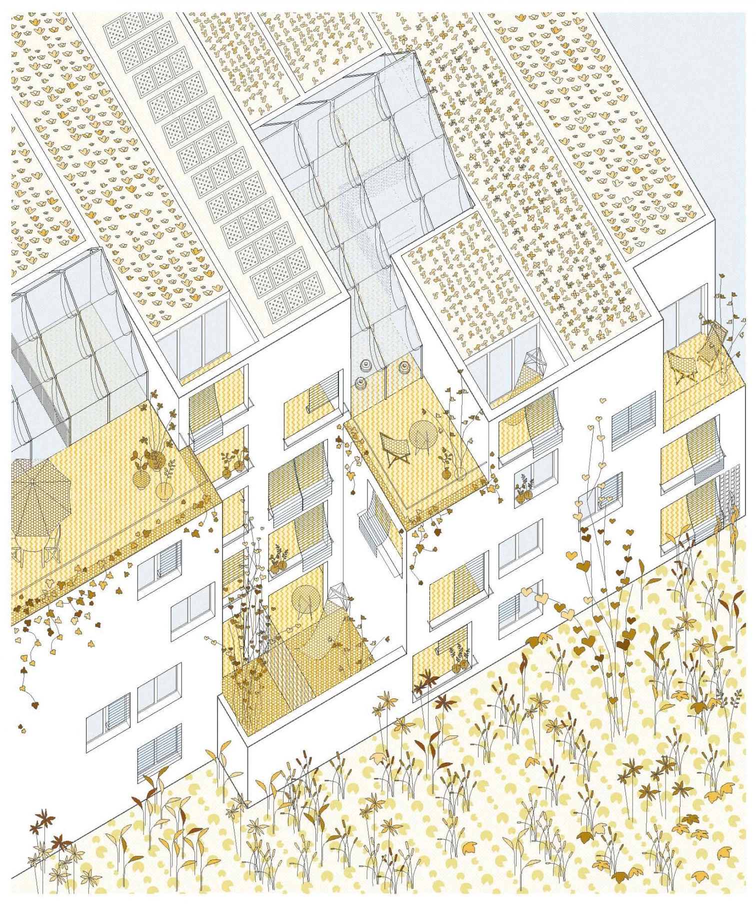 Ibiza 社会住房丨西班牙丨Marta Peris 和 José Manuel Toral-32