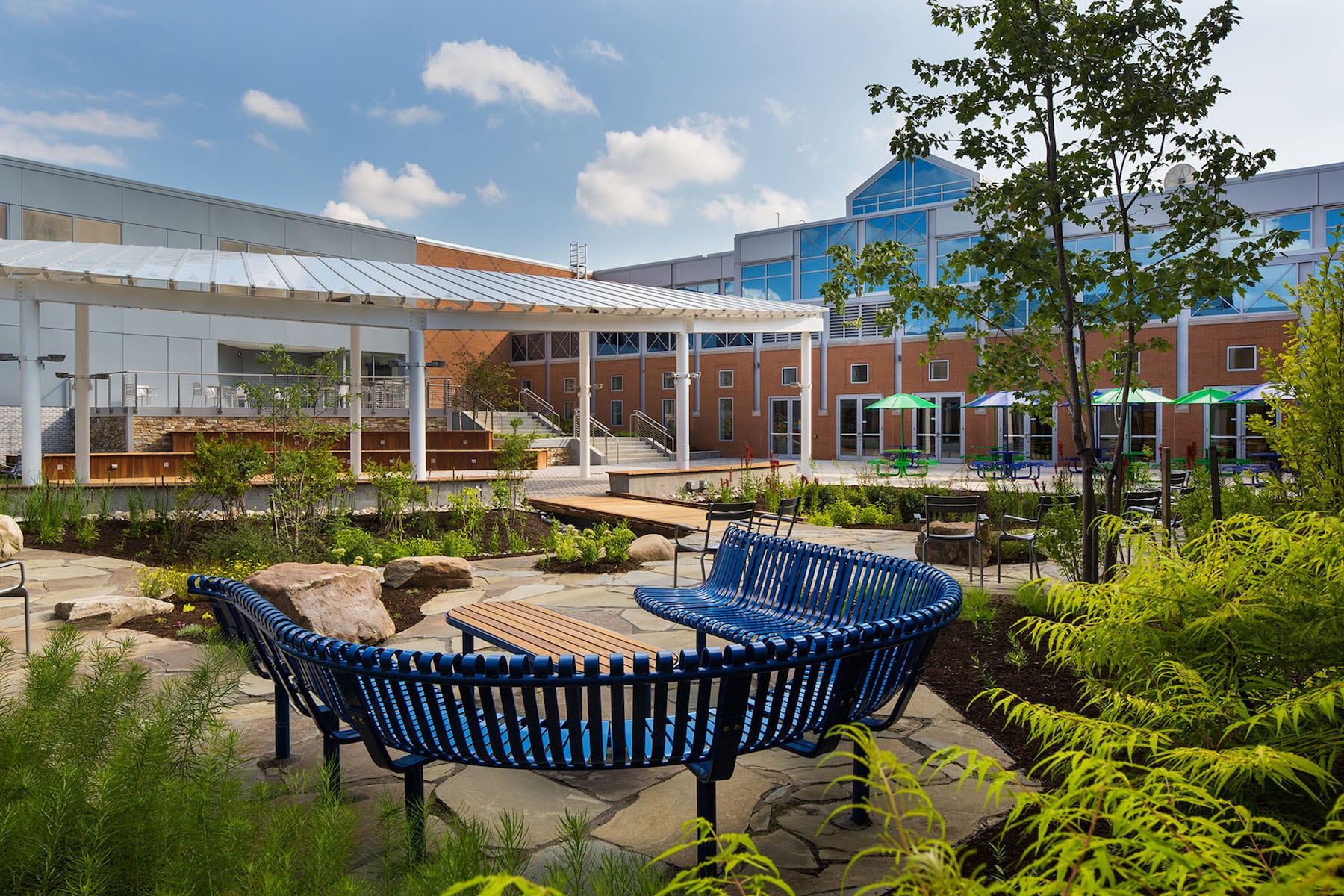 美国 DTCC 斯坦顿庭院改造 | 现代城市与自然的和谐融合-5