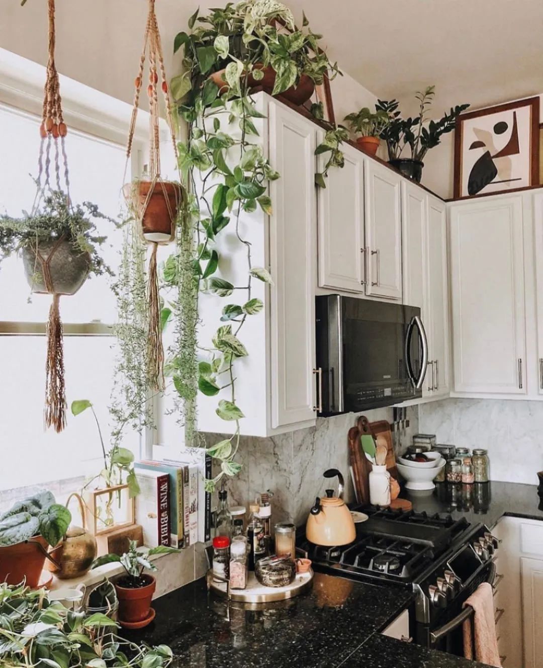 绿植搭配家居,打造夏日清凉空间-53