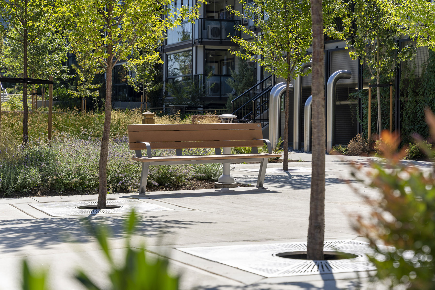 Carvolth 综合开放空间Goldenview 公园丨加拿大丨PMG Landscape Architects-30