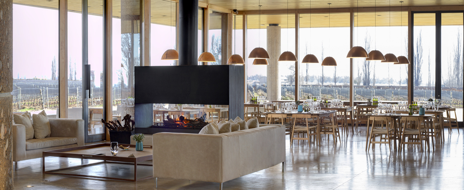 安第斯山脉下的葡萄酒奇迹-69