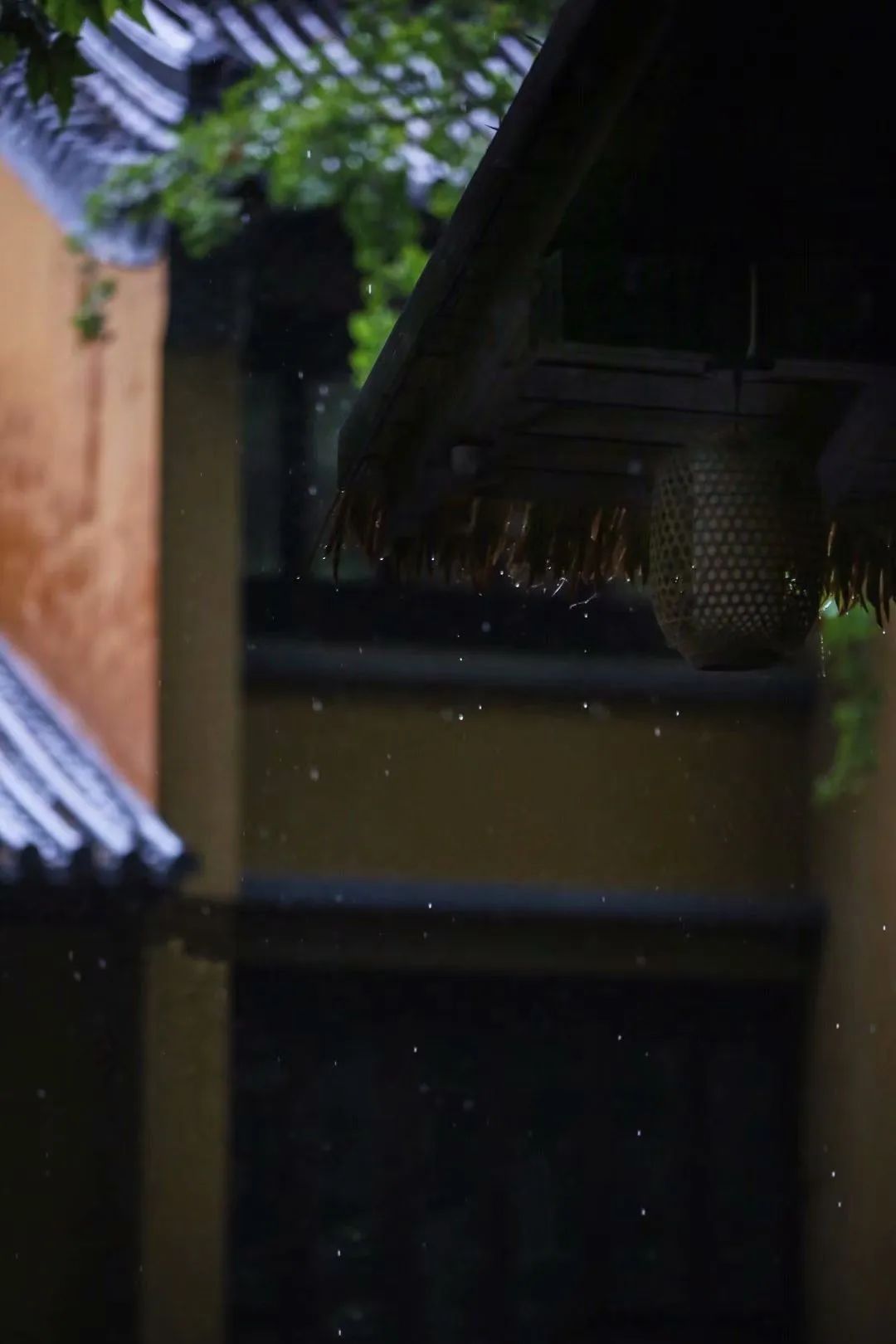 雨润书房 | 生活艺术化的极致体现-10