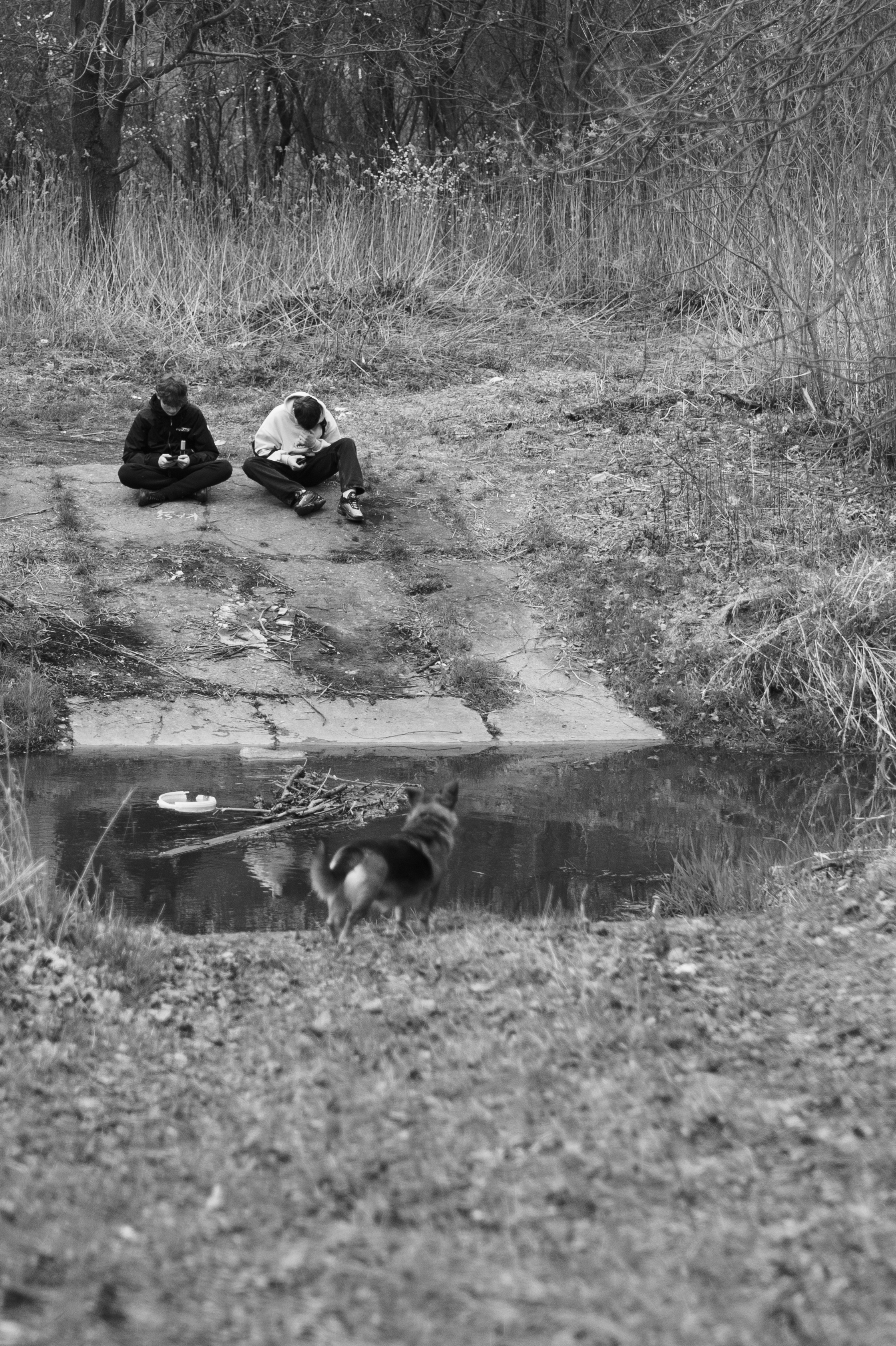 #street of piaseczno near warsaw-32