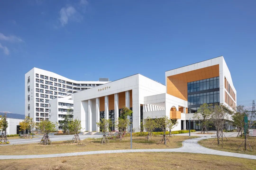 夏至丨夏至已至，万物繁茂-13