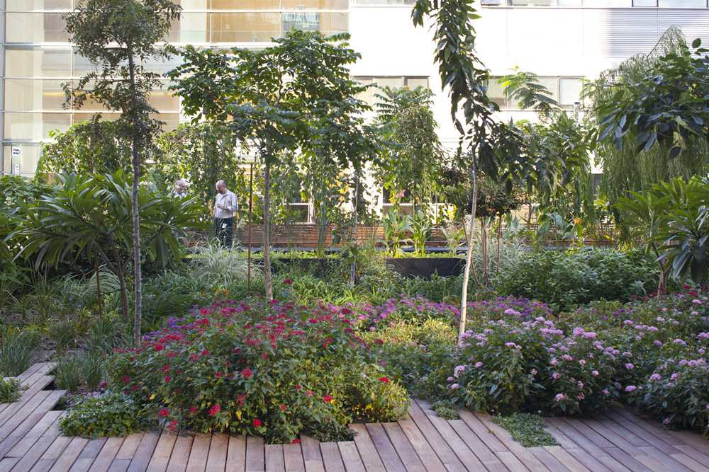 以色列赫兹利亚科技园区的“绿色云”丨Moshe Zur 建筑事务所-10