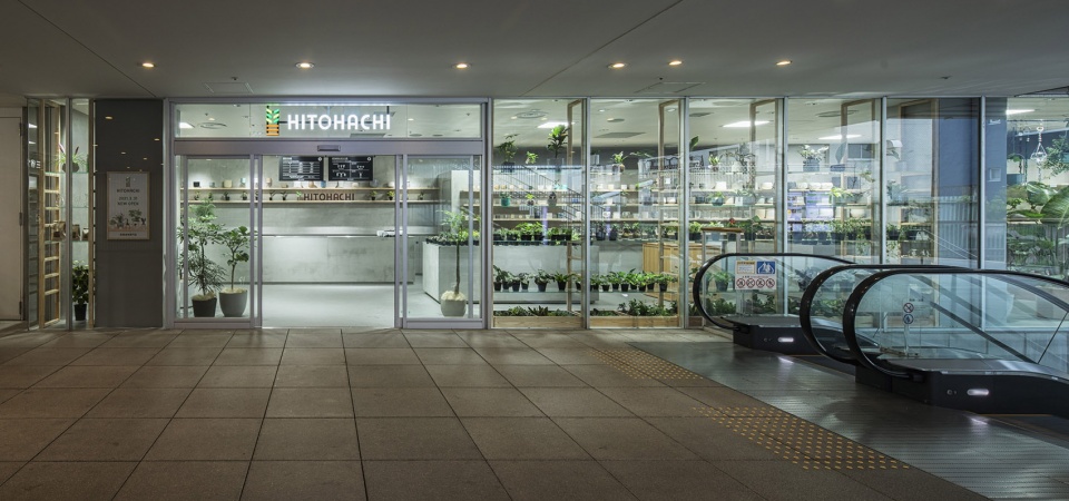 HITOHACHI 盆栽商店-8