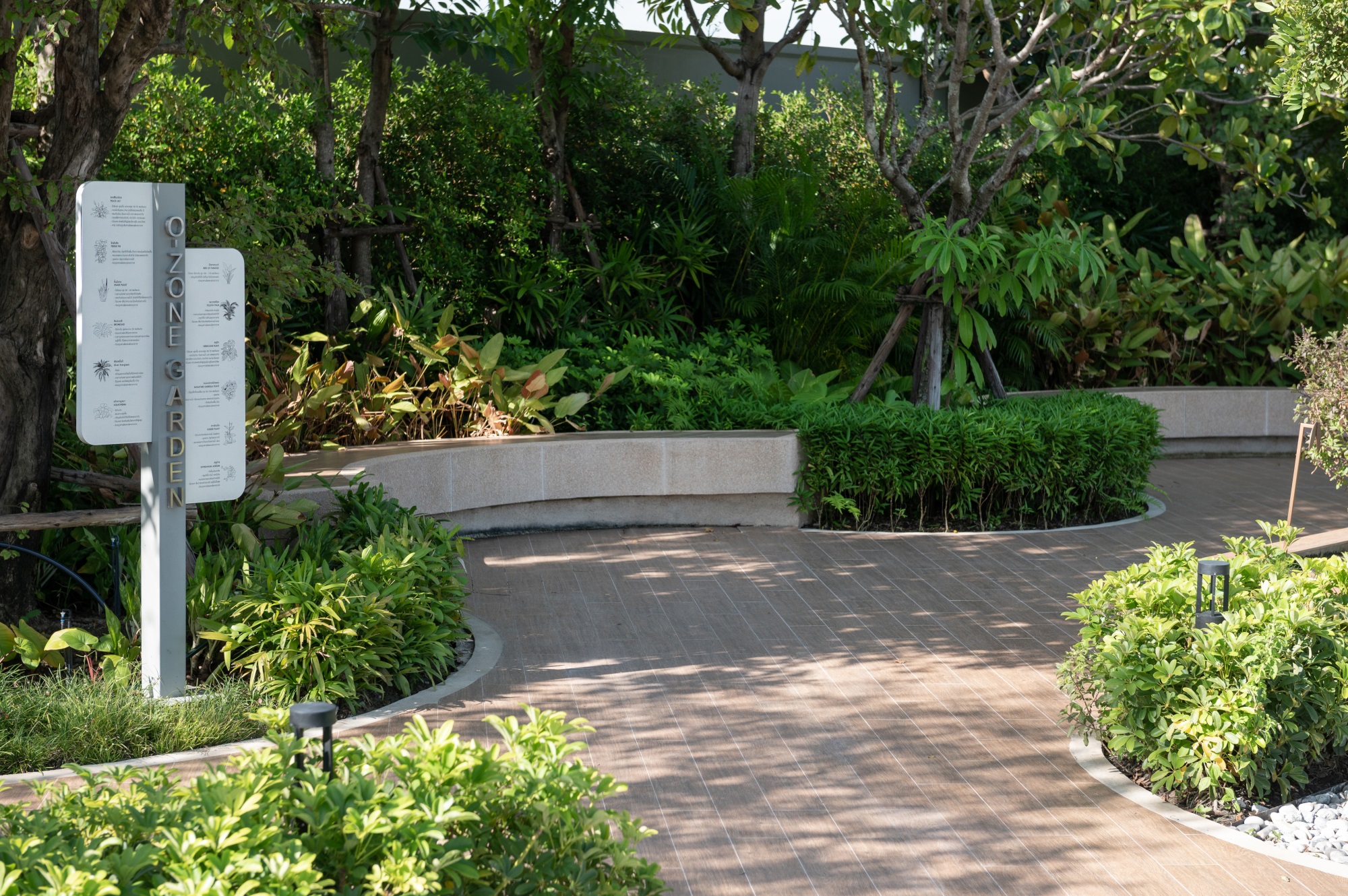 川春镇兰实空 3 区丨泰国巴吞他尼-56