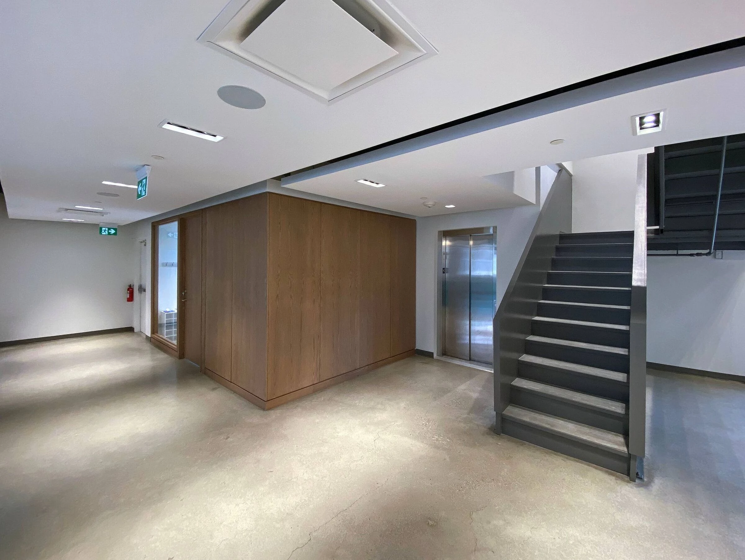 Park Lawn Dog Daycare-9