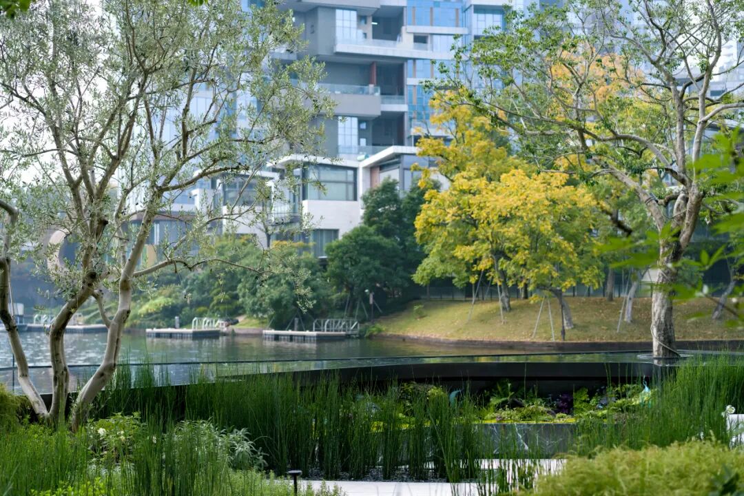 麓湖 B2 黑鉐样板岛丨中国成都丨乐道景观-71