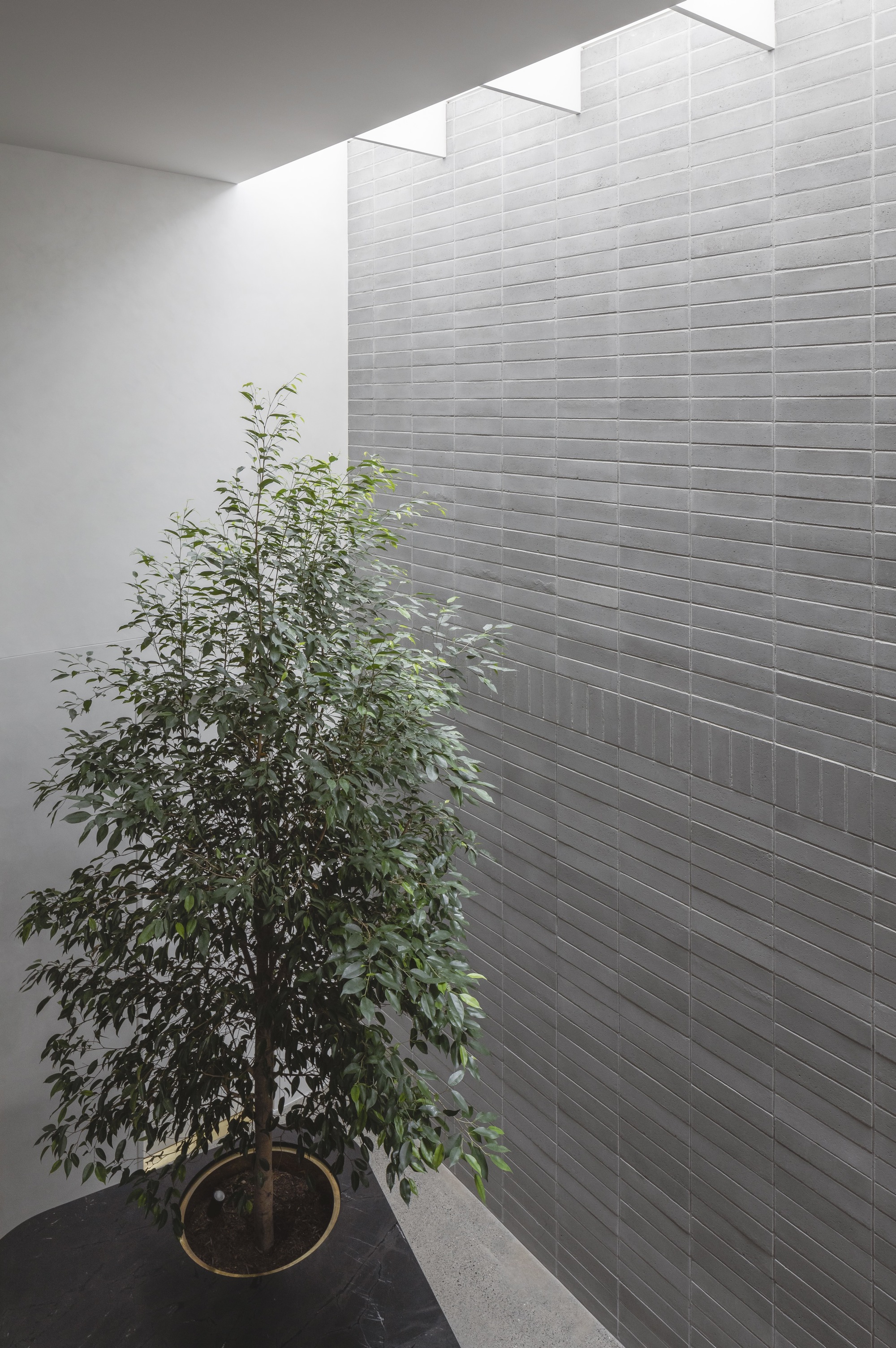 树岛屋丨澳大利亚悉尼丨Carter Williamson Architects-33