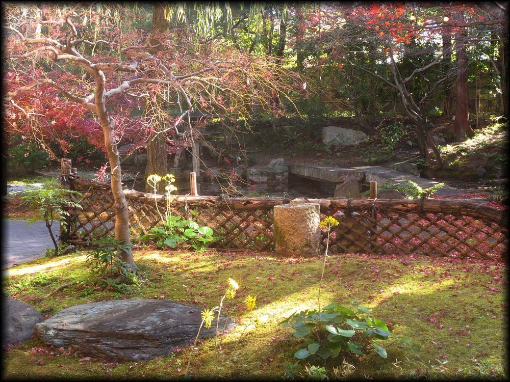 京都市国际交流会馆丨七代目小川治兵衛（植治）-36