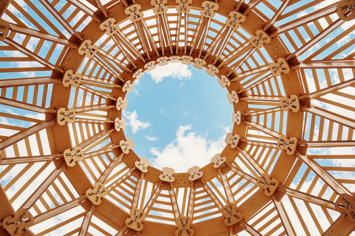 莫斯科艺术博物馆植物装饰讲台-42