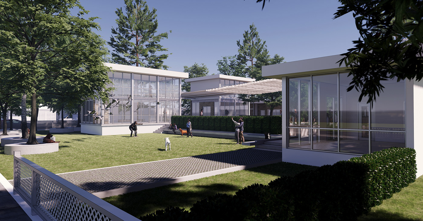 宠物酒店 | 全方位狗狗生活天地-4