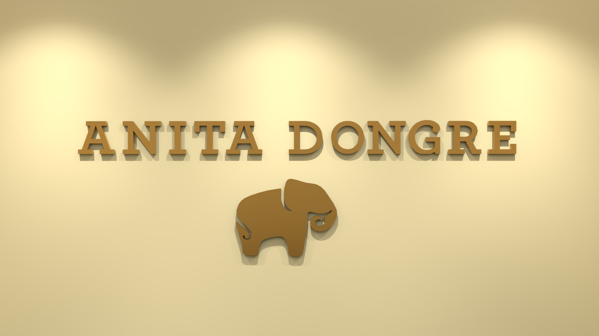 Luxurious retail Store for Anita Dongre-0