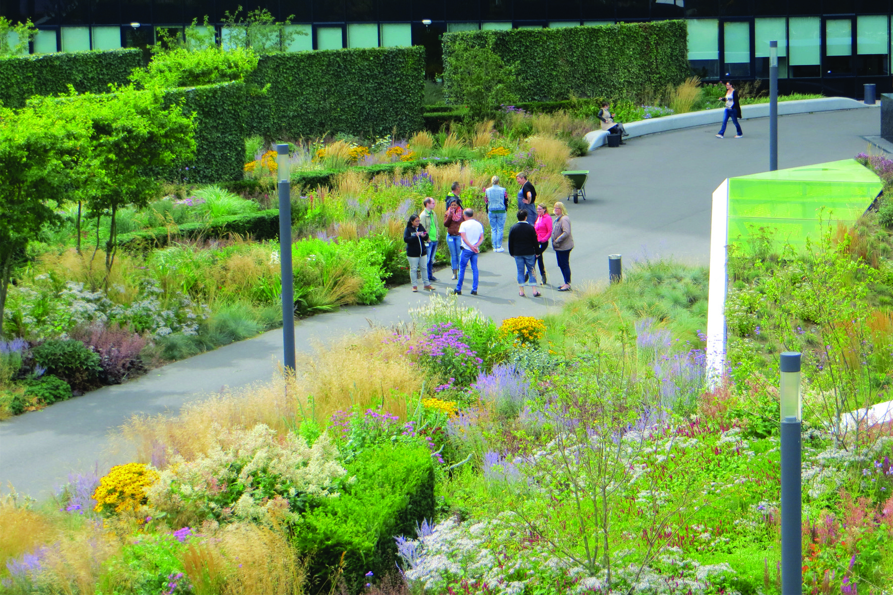 荷兰格罗宁根凯普肯斯堡城市花园-24