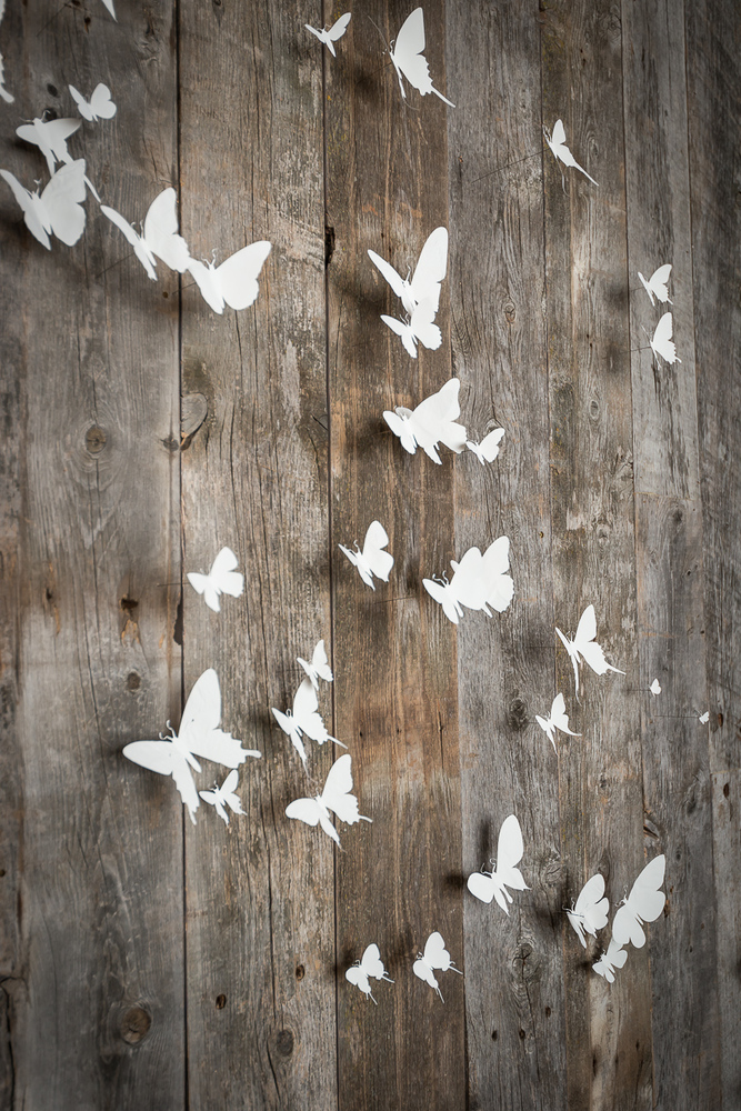 Wilson 乡村牧场别墅 | 经典与现代的融合-40