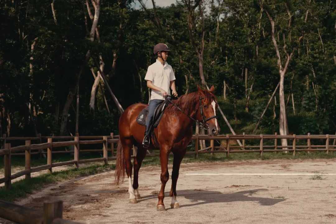 森・LOVE度假村盛大开业，集团创始人徐凯宏亲启千年古树秘境-56