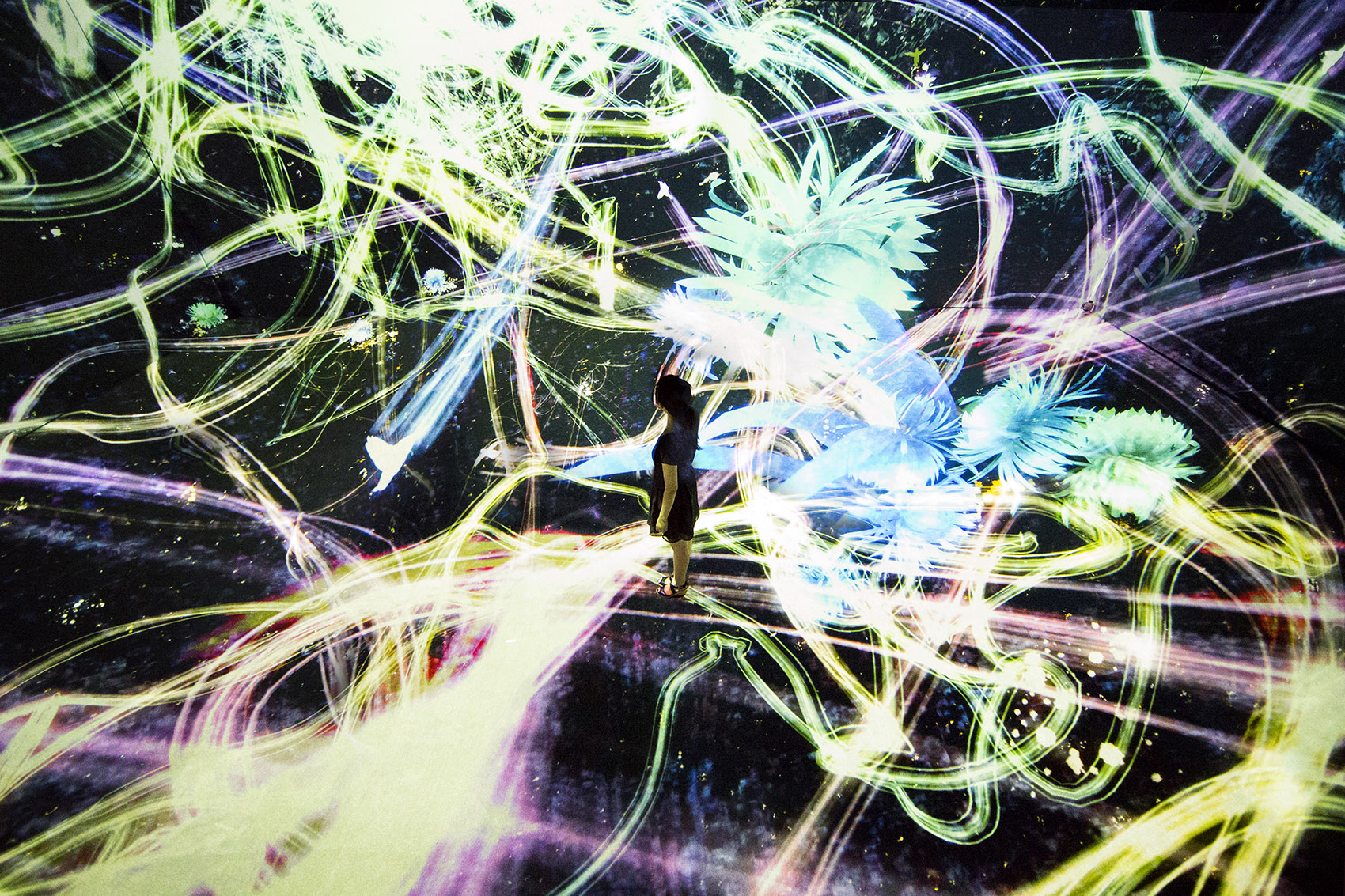 teamLab 2017 深圳北京大展:舞蹈吧,艺术!寓教于乐的未来游乐园!-136