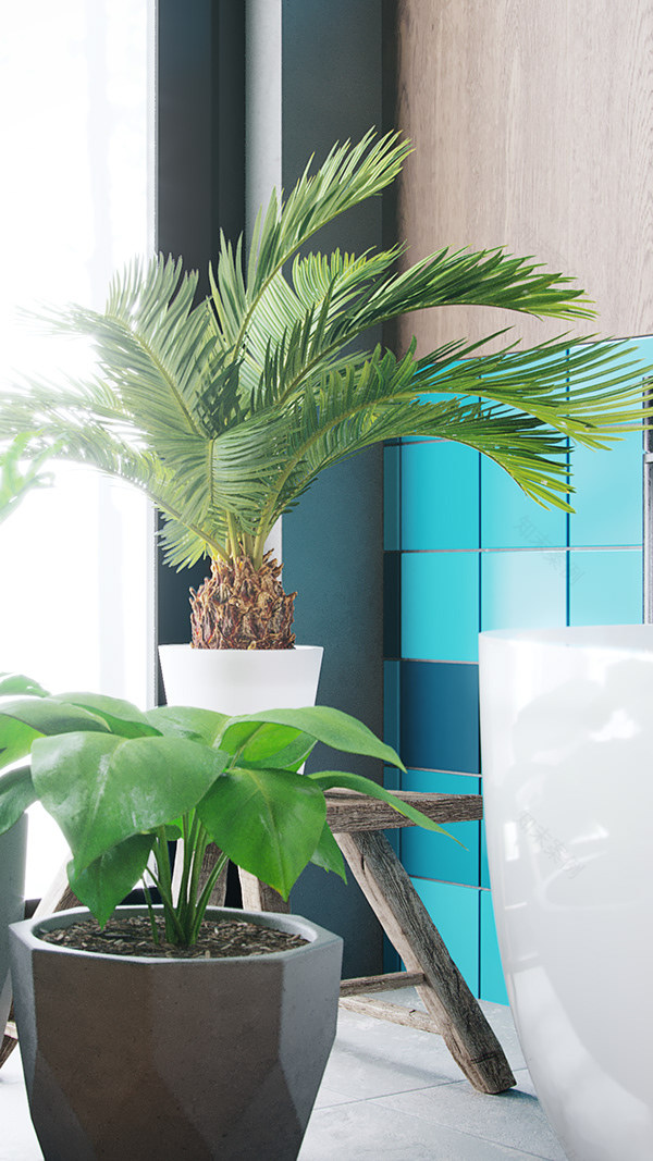 坎皮泰利建筑事务所 厕所丨Mills Gorman Architects-14