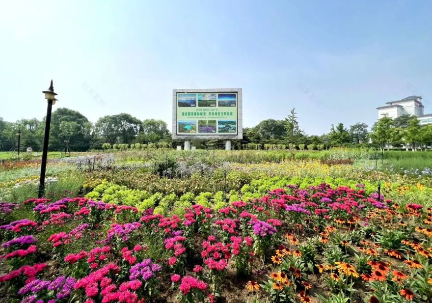 房山府前广场“拆栏透绿”改造丨中国北京丨房山区园林绿化局-4