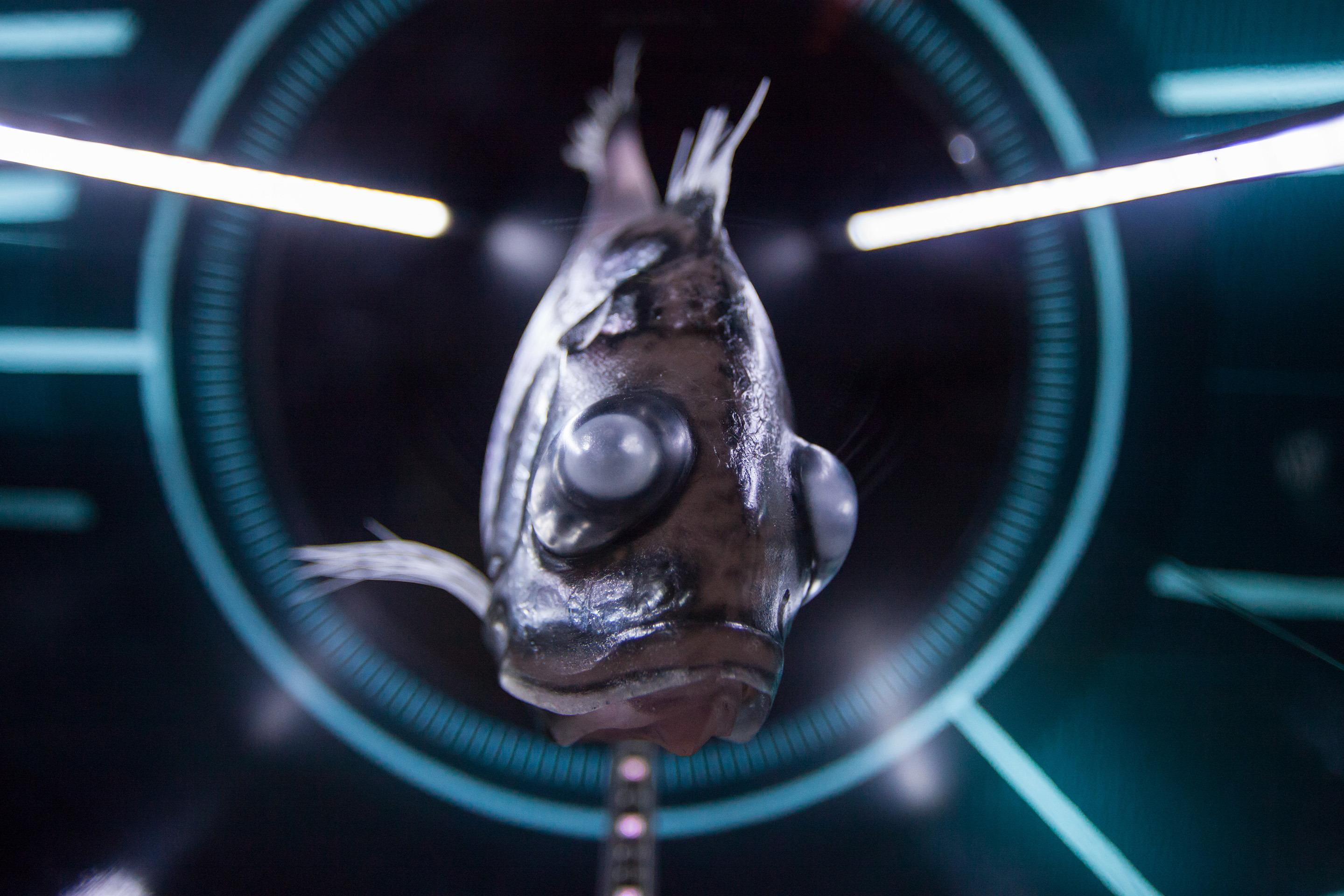 Hydropolis 水主题中心-102