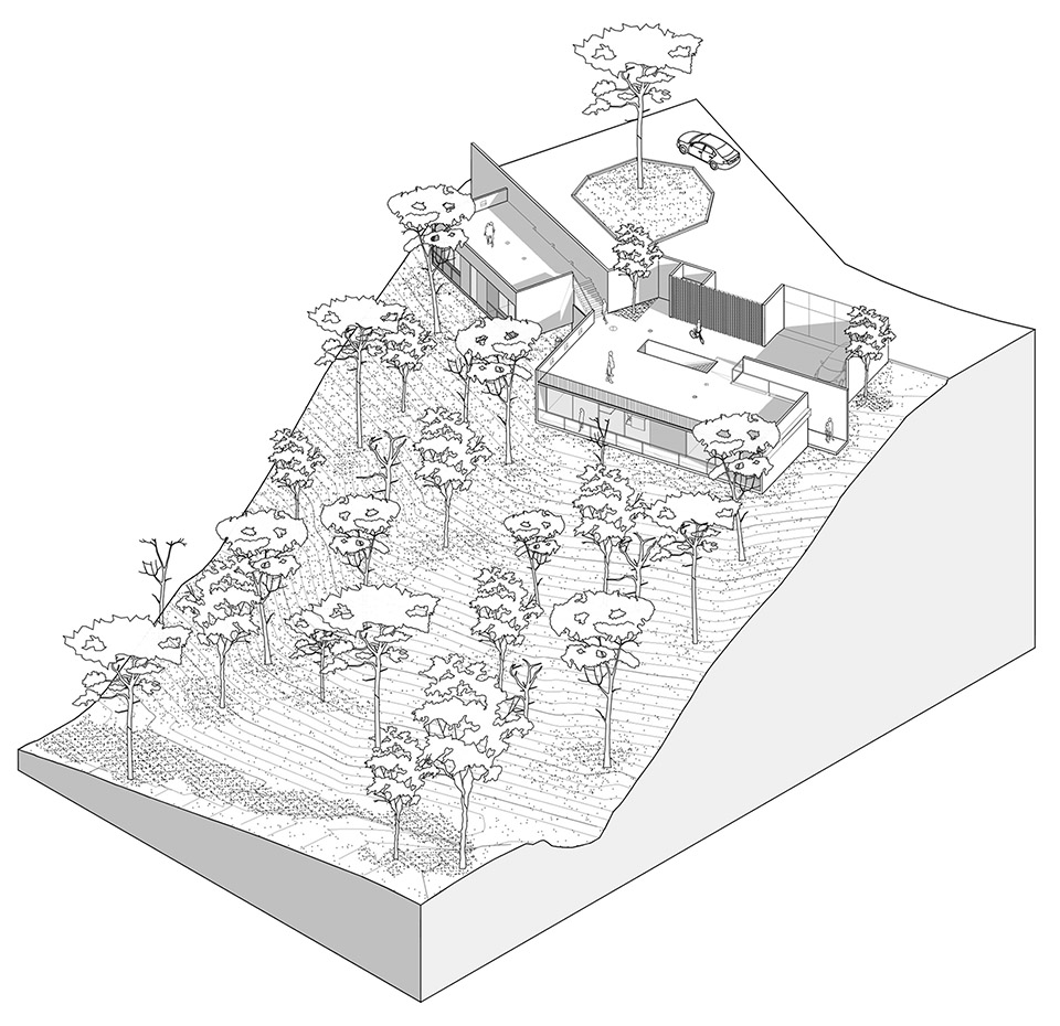 AMAPA 住宅丨墨西哥瓜达拉哈拉丨Pérez Gómez Arquitectura-6