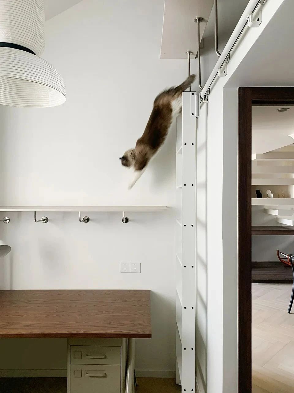 《我的前半生》制作人之家丨中国上海丨张萍-174