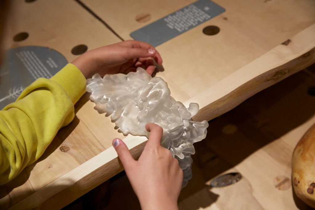 儿童森林展馆丨法国尼斯-15