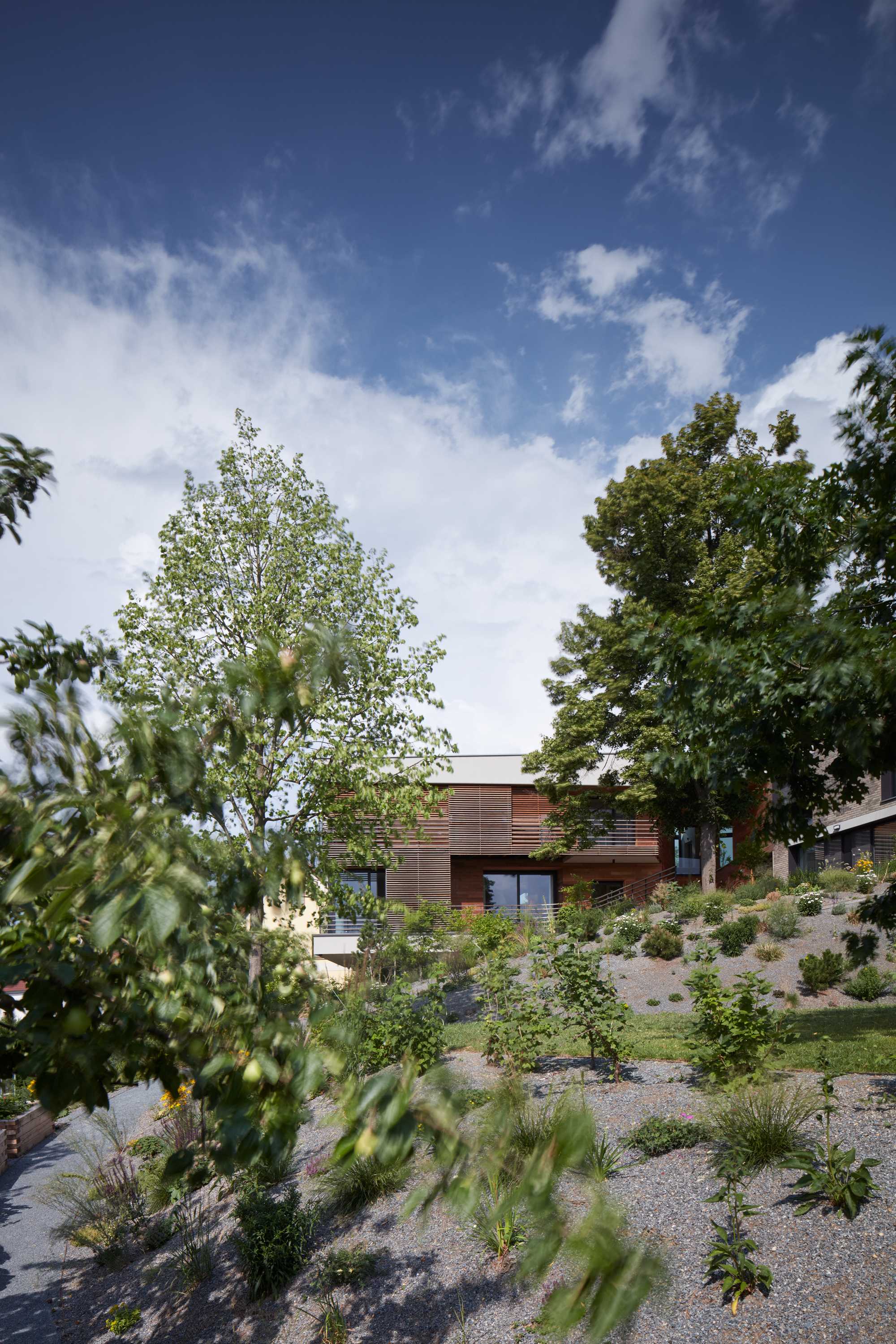 波多里别墅 Villa H 3，融入自然的室内设计杰作-19