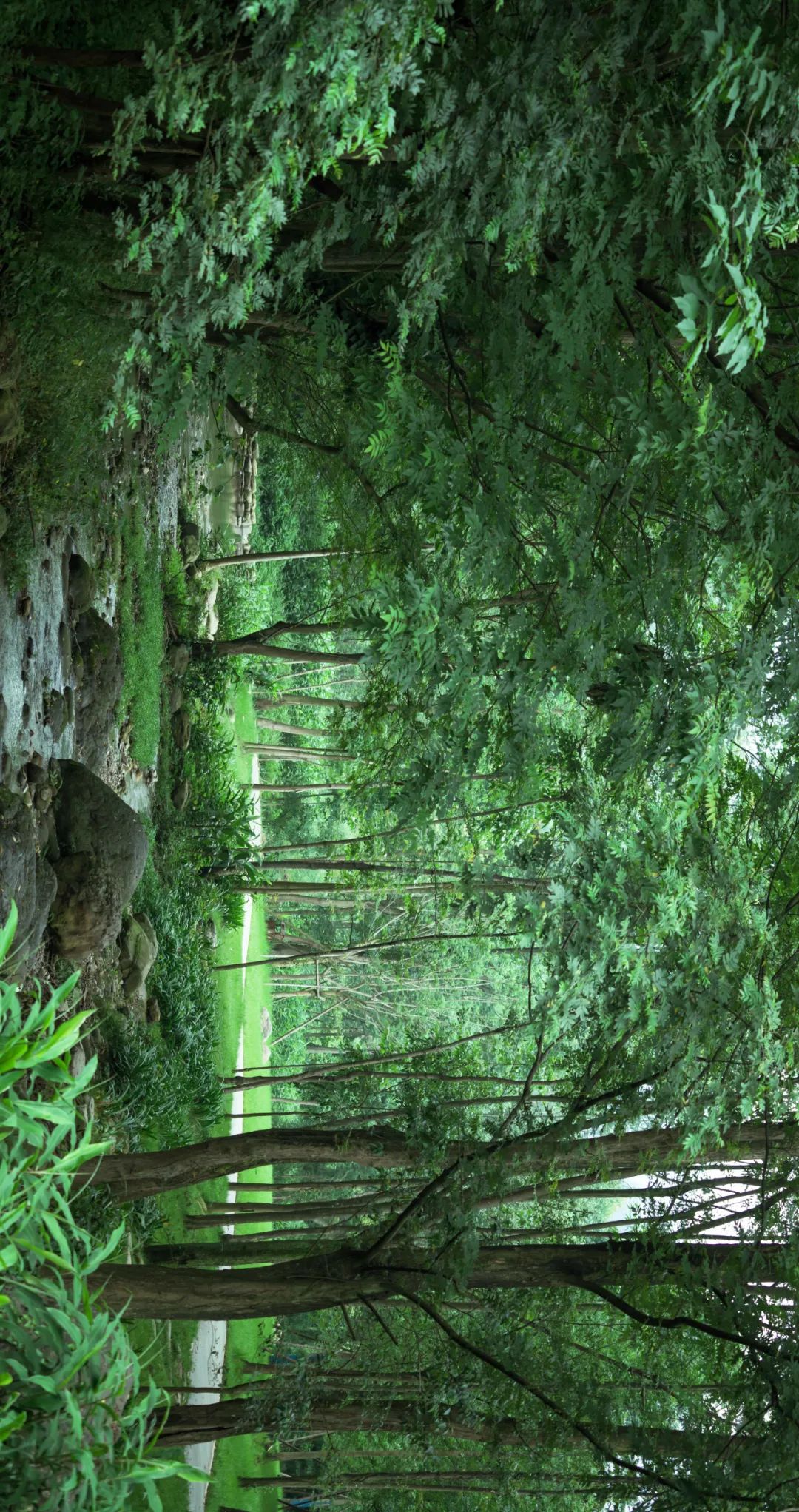 峨眉·高桥小镇丨中国眉山丨四川乐道景观设计有限公司-5