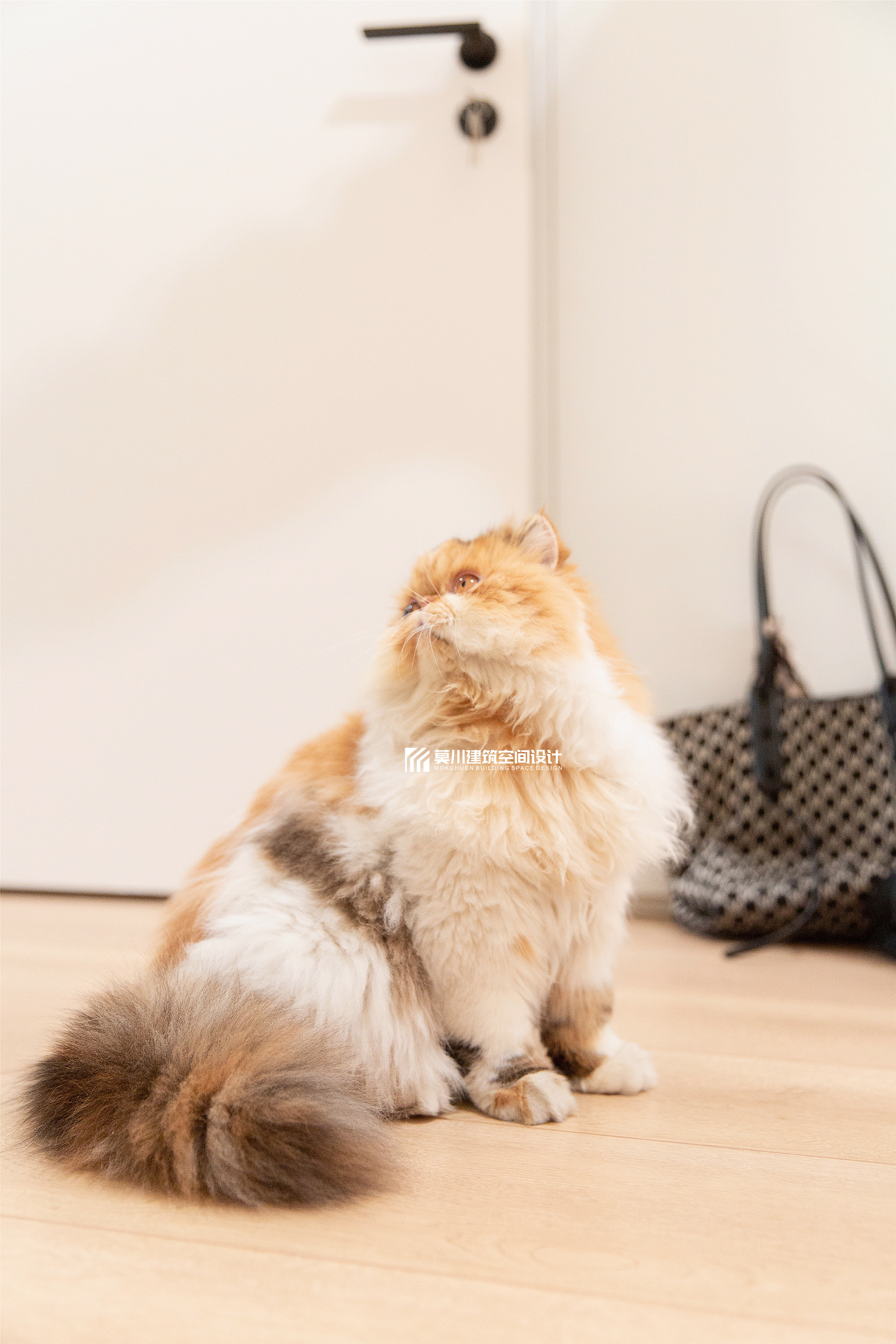 鼎太风华 127m²北欧风-10