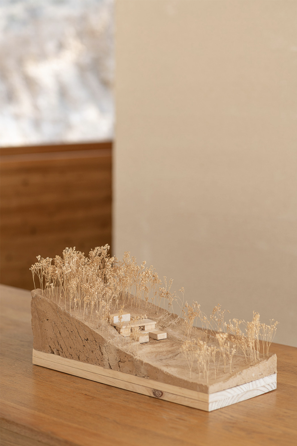 松林里的房子丨法国丨AT architectes-24