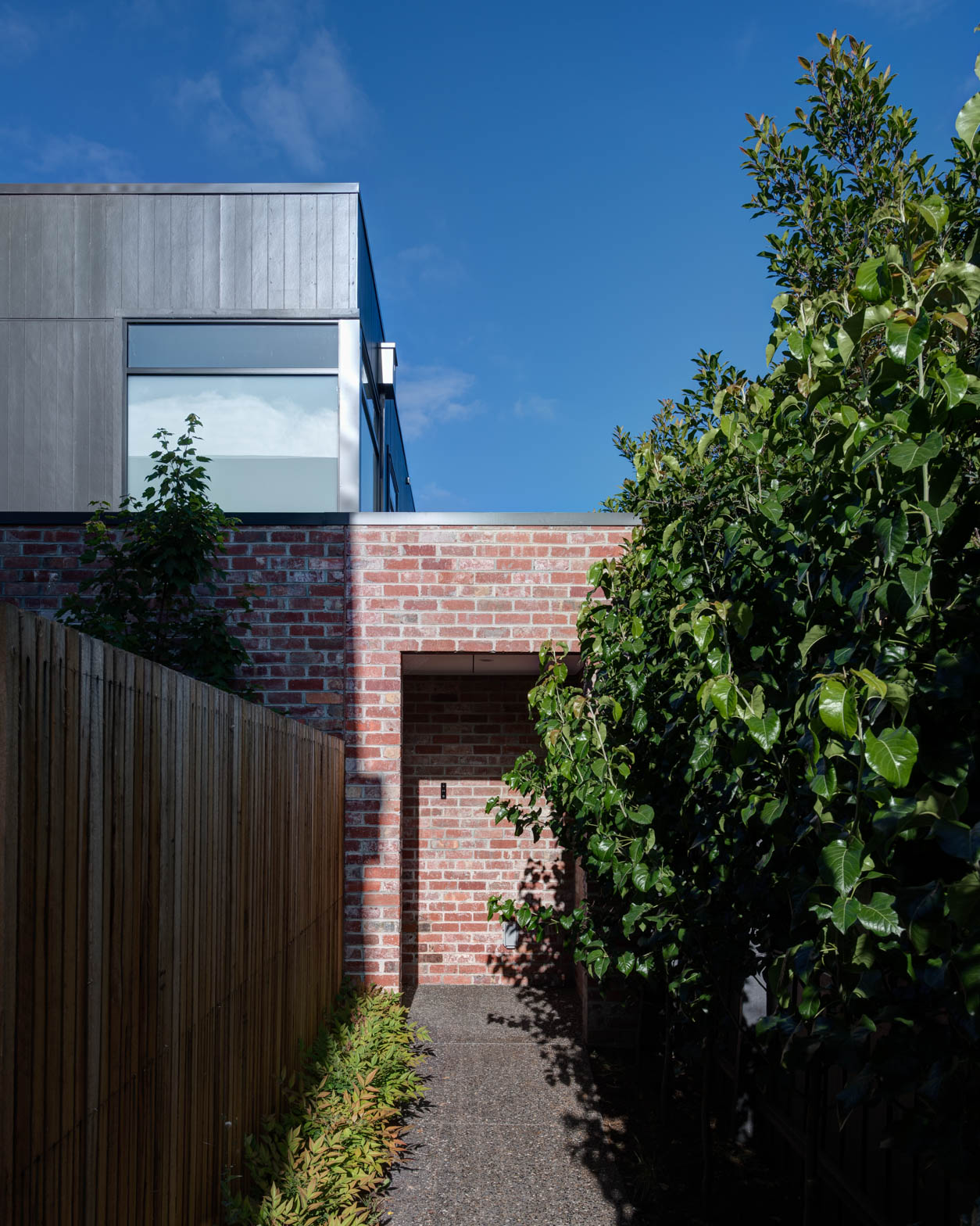 _The Stand_Kew Taylor Pressly-12