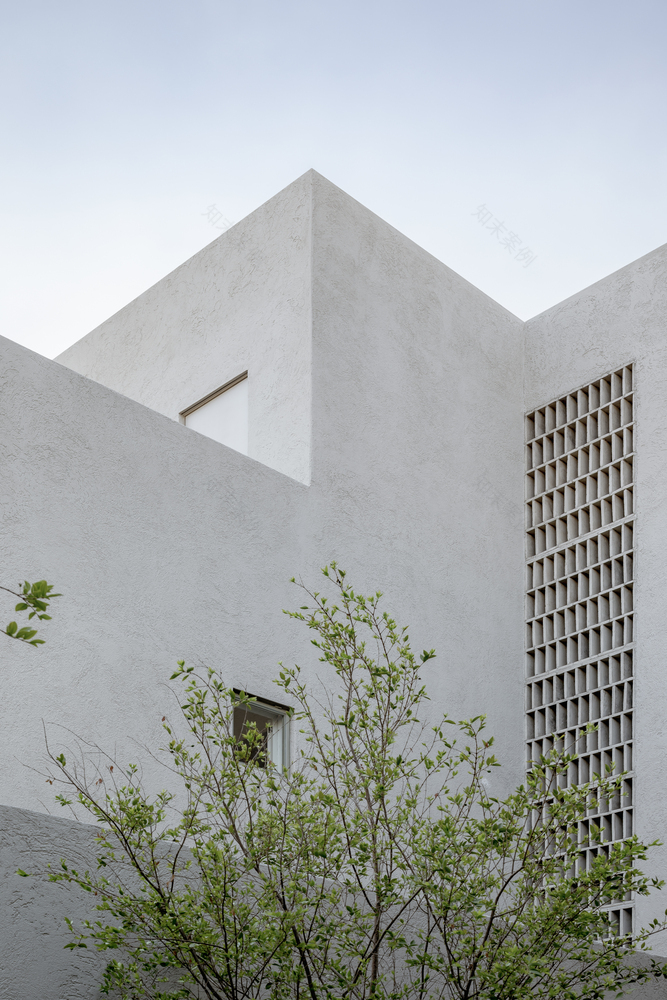 Par House · 镜像布局的现代住宅-39