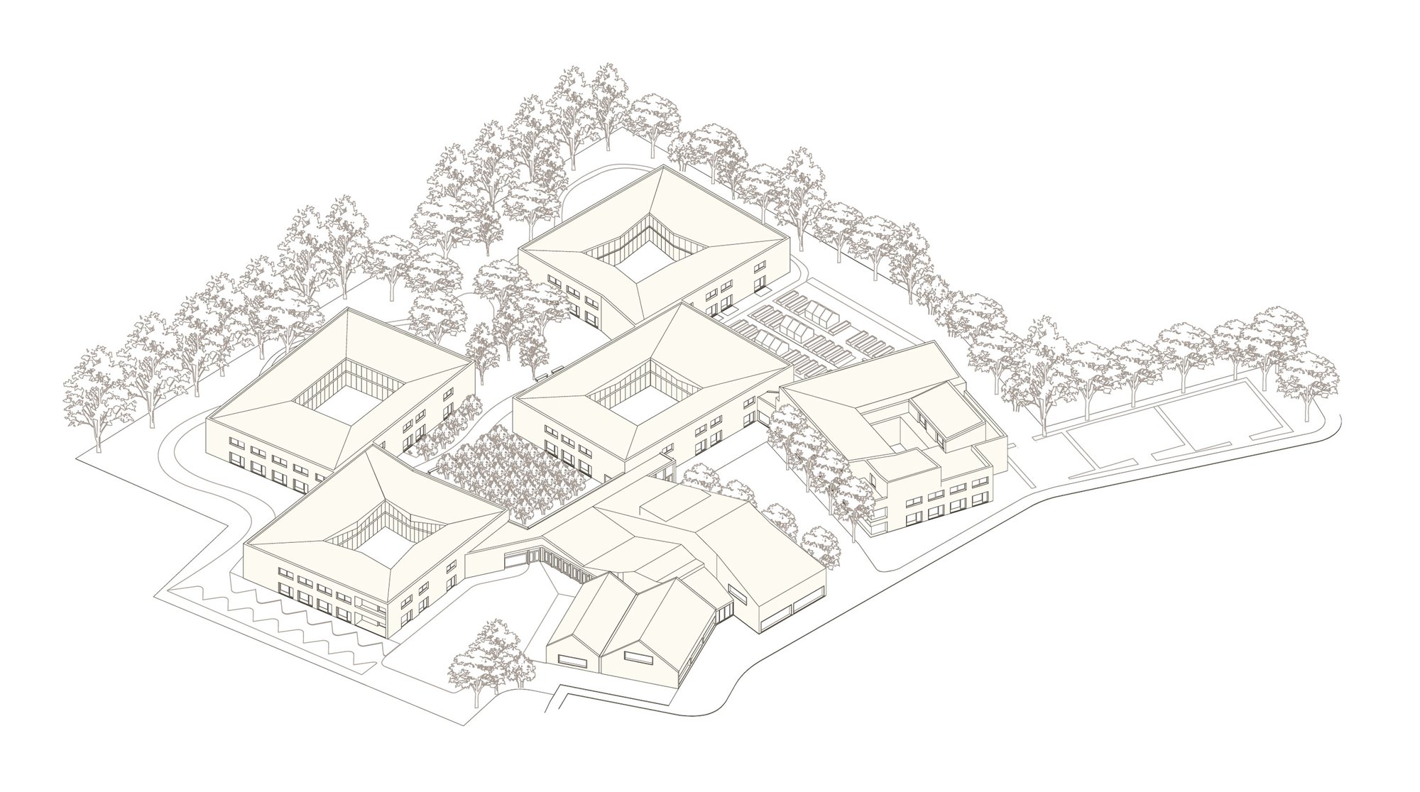 丨比利时丨Henley Halebrown-22