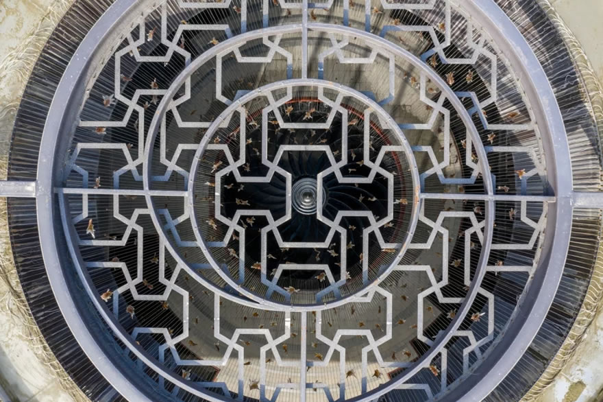 禹洲 旭辉 金科学林春晓-43